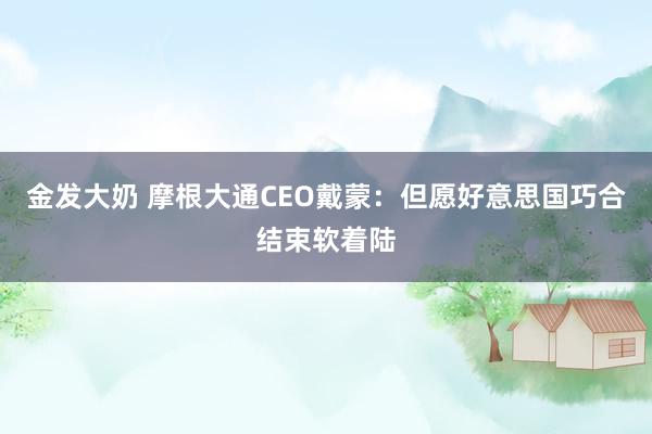 金发大奶 摩根大通CEO戴蒙：但愿好意思国巧合结束软着陆