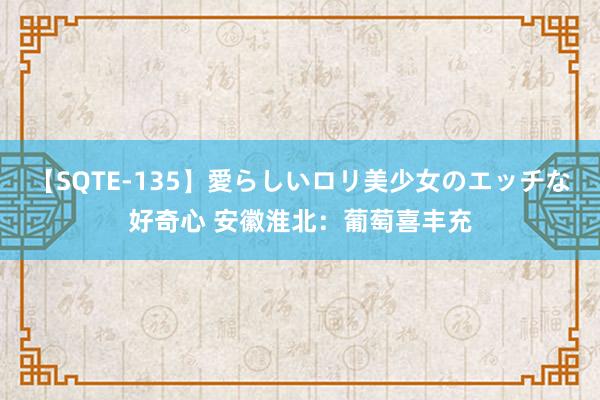 【SQTE-135】愛らしいロリ美少女のエッチな好奇心 安徽淮北：葡萄喜丰充