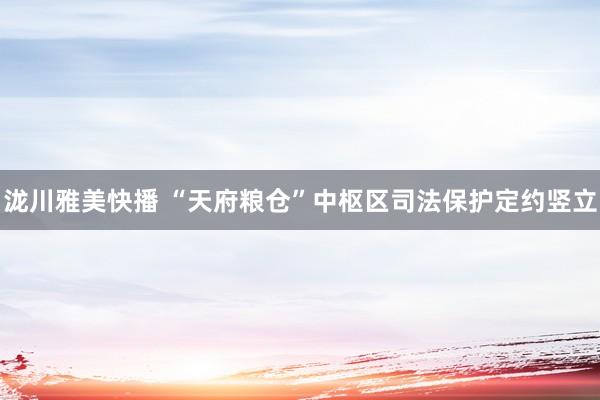 泷川雅美快播 “天府粮仓”中枢区司法保护定约竖立