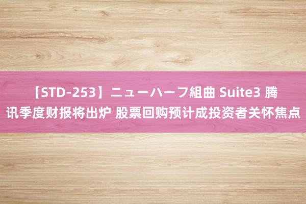 【STD-253】ニューハーフ組曲 Suite3 腾讯季度财报将出炉 股票回购预计成投资者关怀焦点