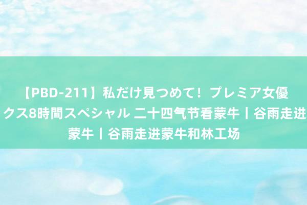 【PBD-211】私だけ見つめて！プレミア女優と主観でセックス8時間スペシャル 二十四气节看蒙牛丨谷雨走进蒙牛和林工场