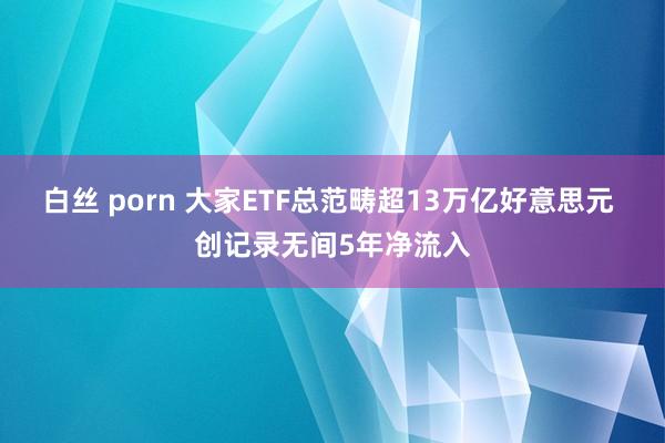 白丝 porn 大家ETF总范畴超13万亿好意思元 创记录无间5年净流入