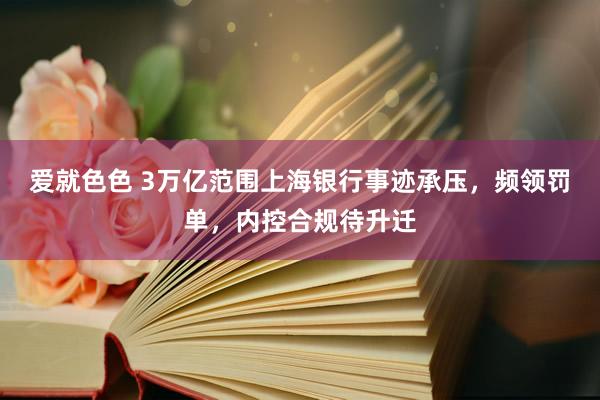 爱就色色 3万亿范围上海银行事迹承压，频领罚单，内控合规待升迁