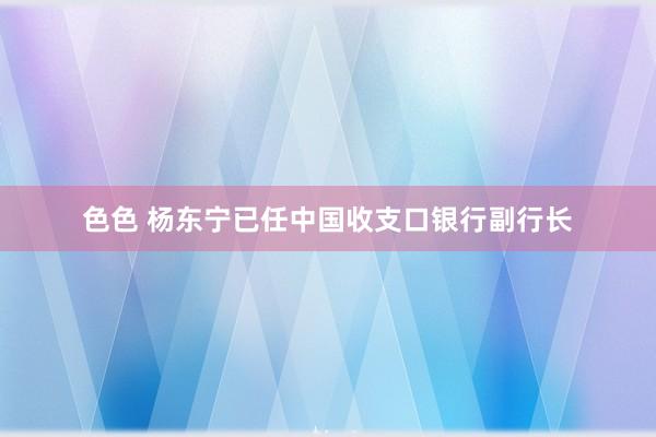 色色 杨东宁已任中国收支口银行副行长