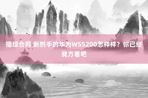 插综合网 新脱手的华为WS5200怎样样？你已经我方看吧