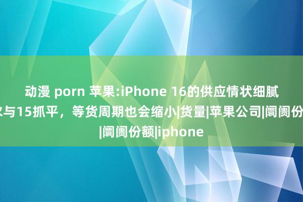 动漫 porn 苹果:iPhone 16的供应情状细腻，即使需求与15抓平，等货周期也会缩小|货量|苹果公司|阛阓份额|iphone